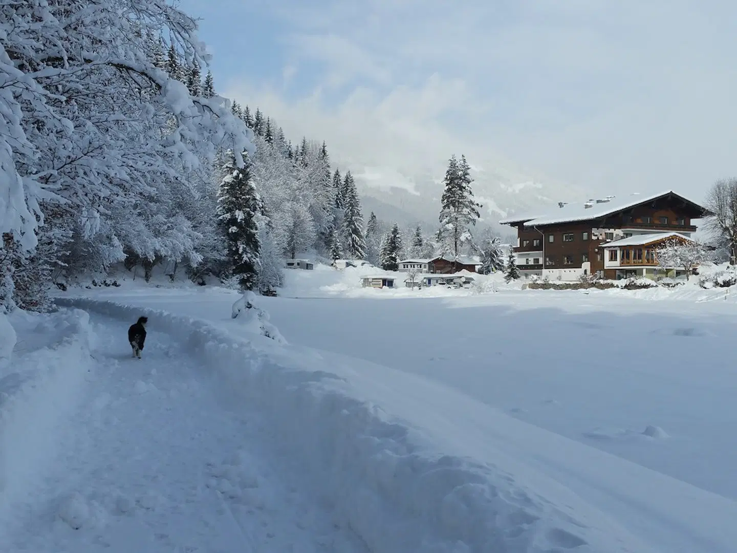Hotel Neunbrunnen LANDSCAPE