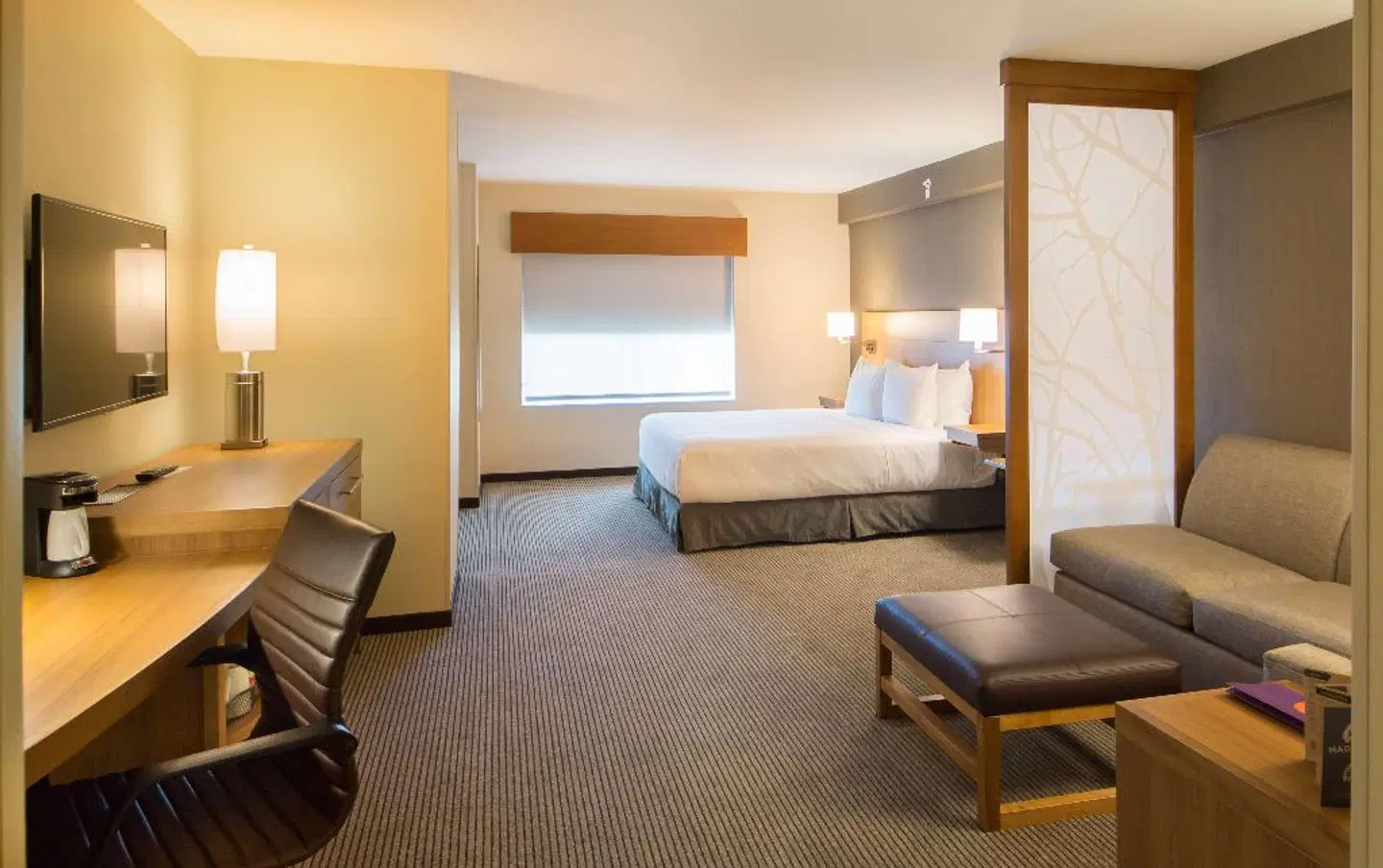 Hyatt Place Orlando/Lake Buena Vista ROOM_EXAMPLE