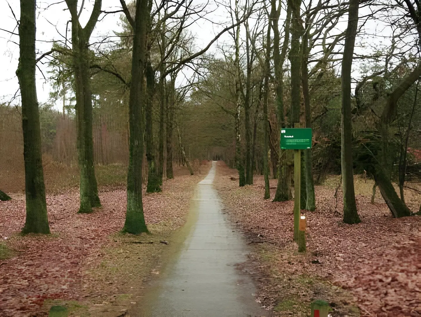 De Bosrand Ede Garten