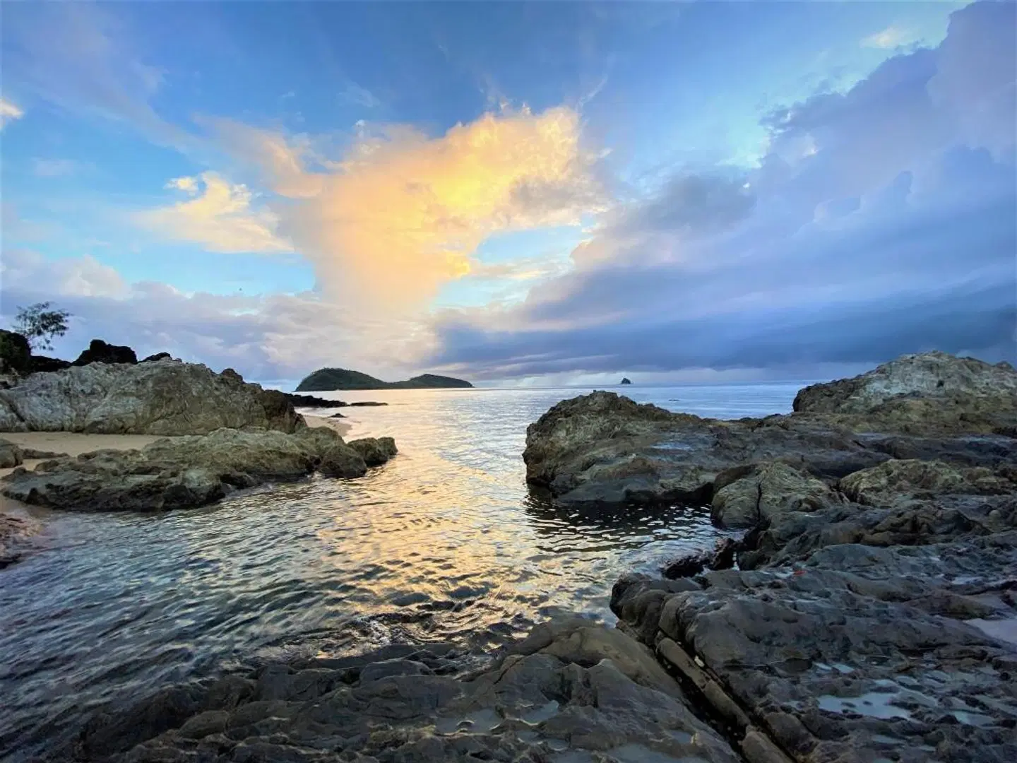 Sanctuary Palm Cove LANDSCAPE