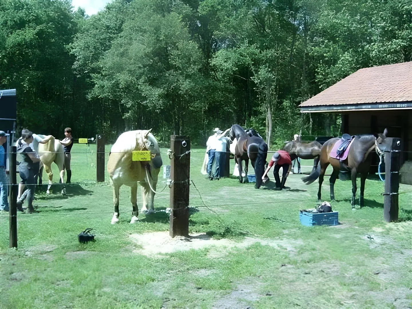 B&B De Edelsteen Tiere