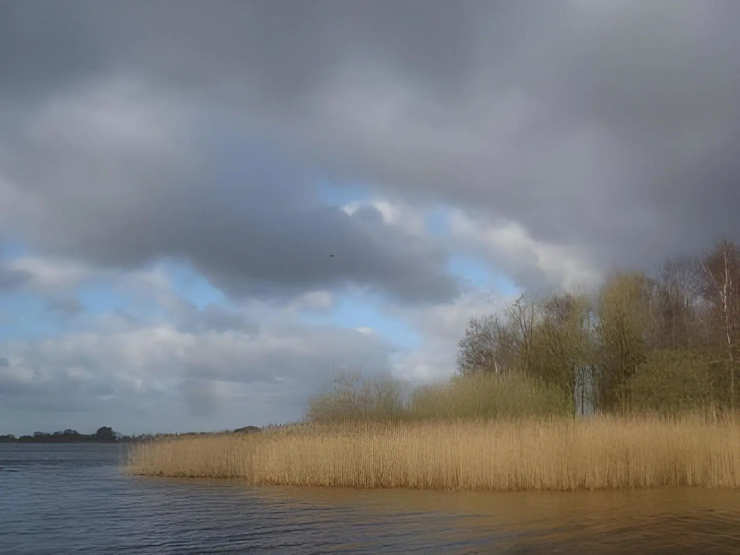 De Mariahoeve LANDSCAPE