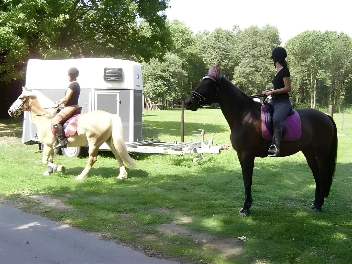 B&B De Edelsteen Tiere