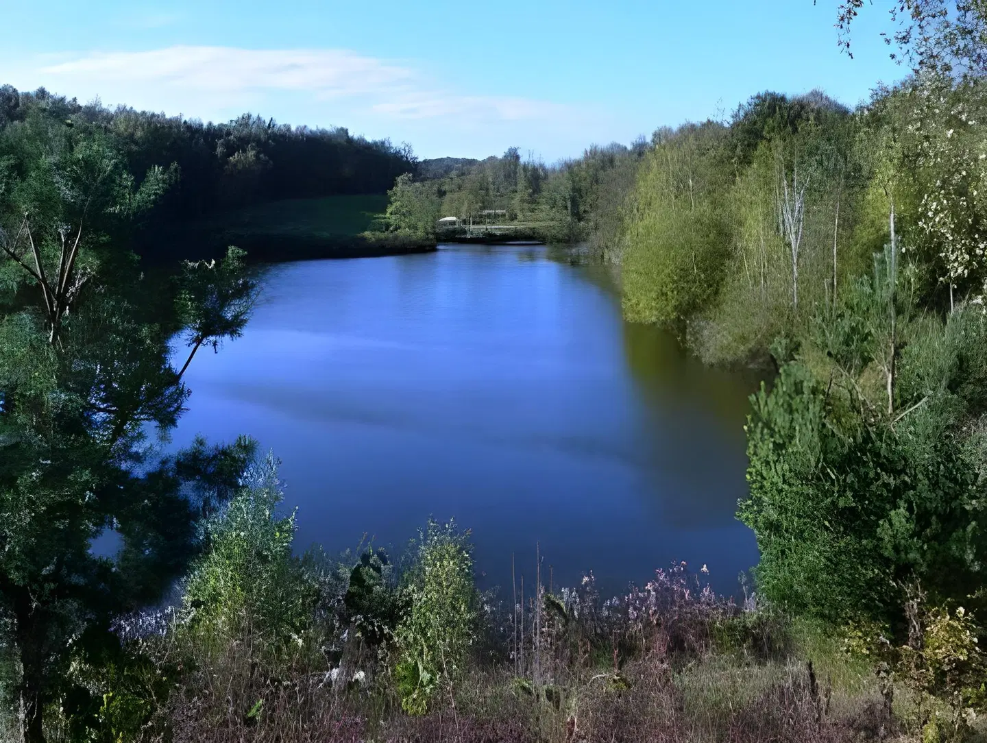 Brunssummerheide LANDSCAPE