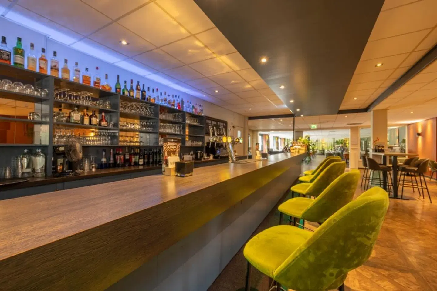 Fletcher Hotel - Restaurant De Eese - Giethoorn Bar