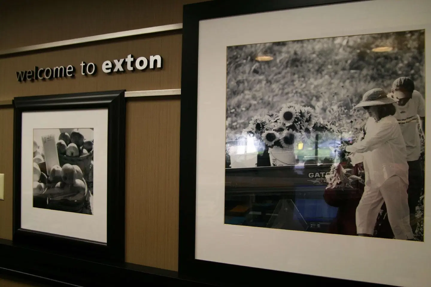 Hampton Inn Downingtown/Exton LOUNGE_LOBBY