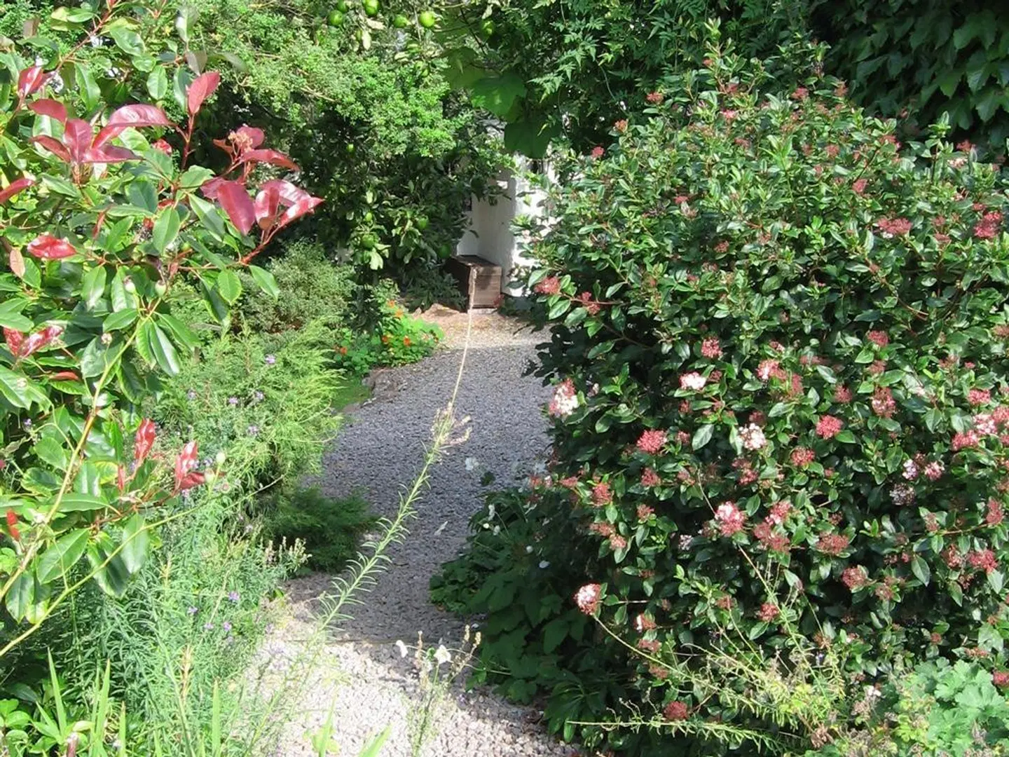 Steps Farmhouse Garten