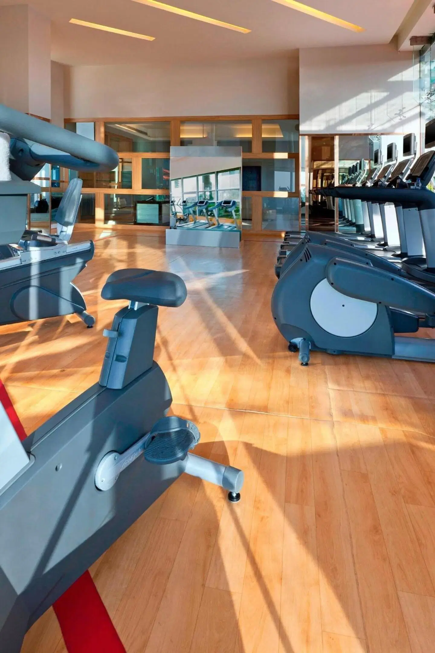 Sheraton Bangalore Hotel at Brigade Gateway SPORTS_AND_LEISURE