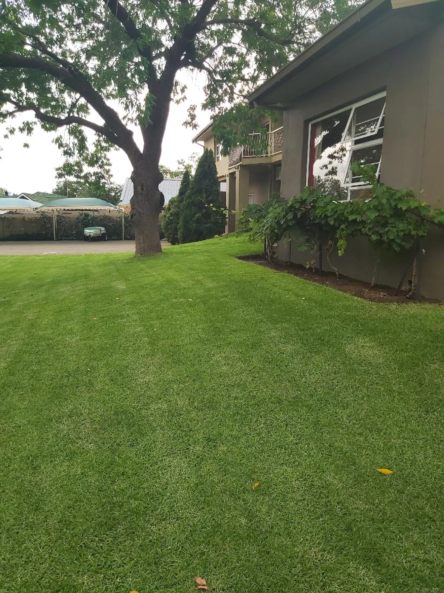 Bayswater Lodge Garten