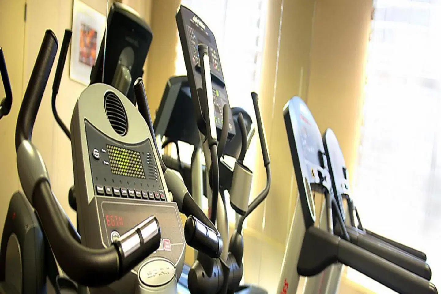 Holiday Inn & Suites Mississauga West - Meadowvale SPORTS_AND_LEISURE