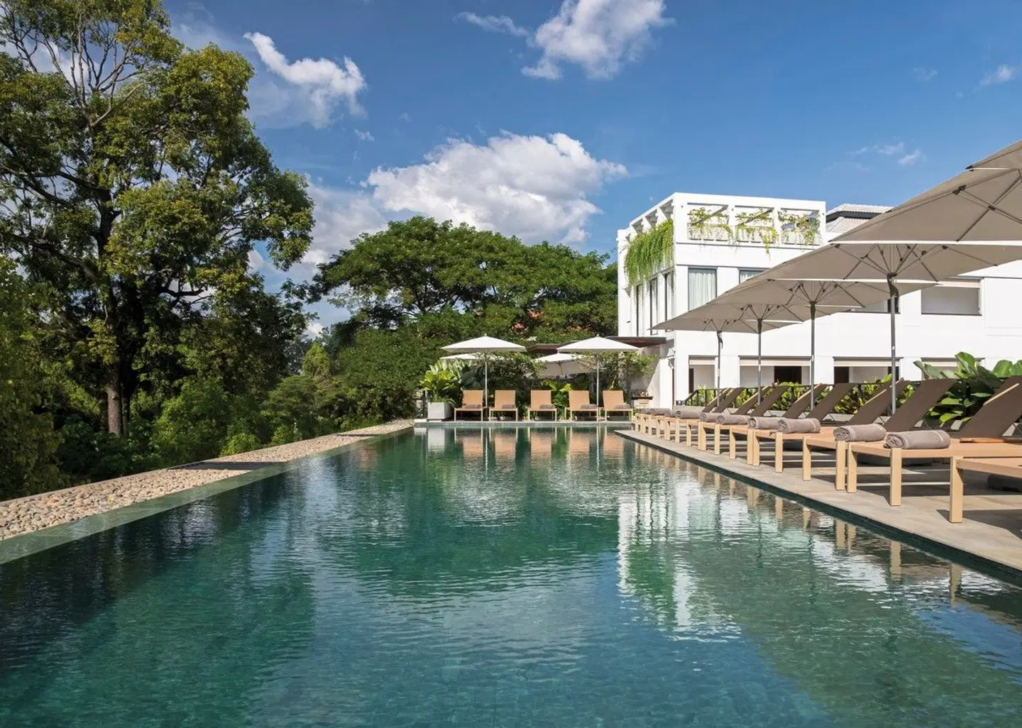 Treeline Urban Resort OUTDOOR_POOL