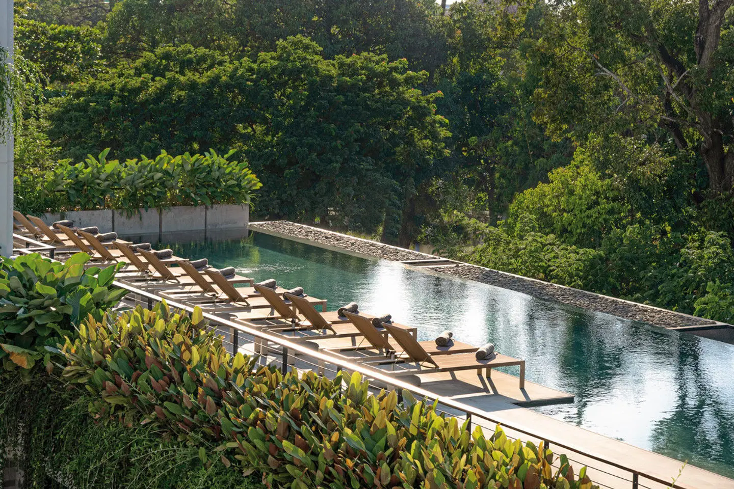 Treeline Urban Resort Garten