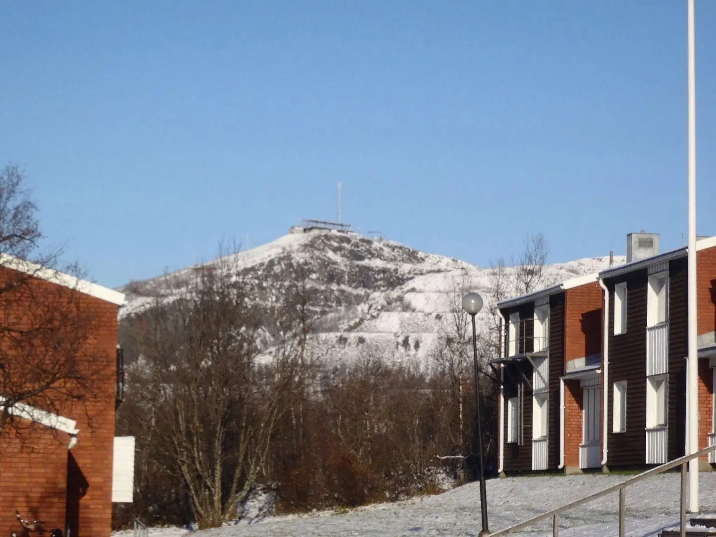 STF Malmfältens Folkhögskola Tiere