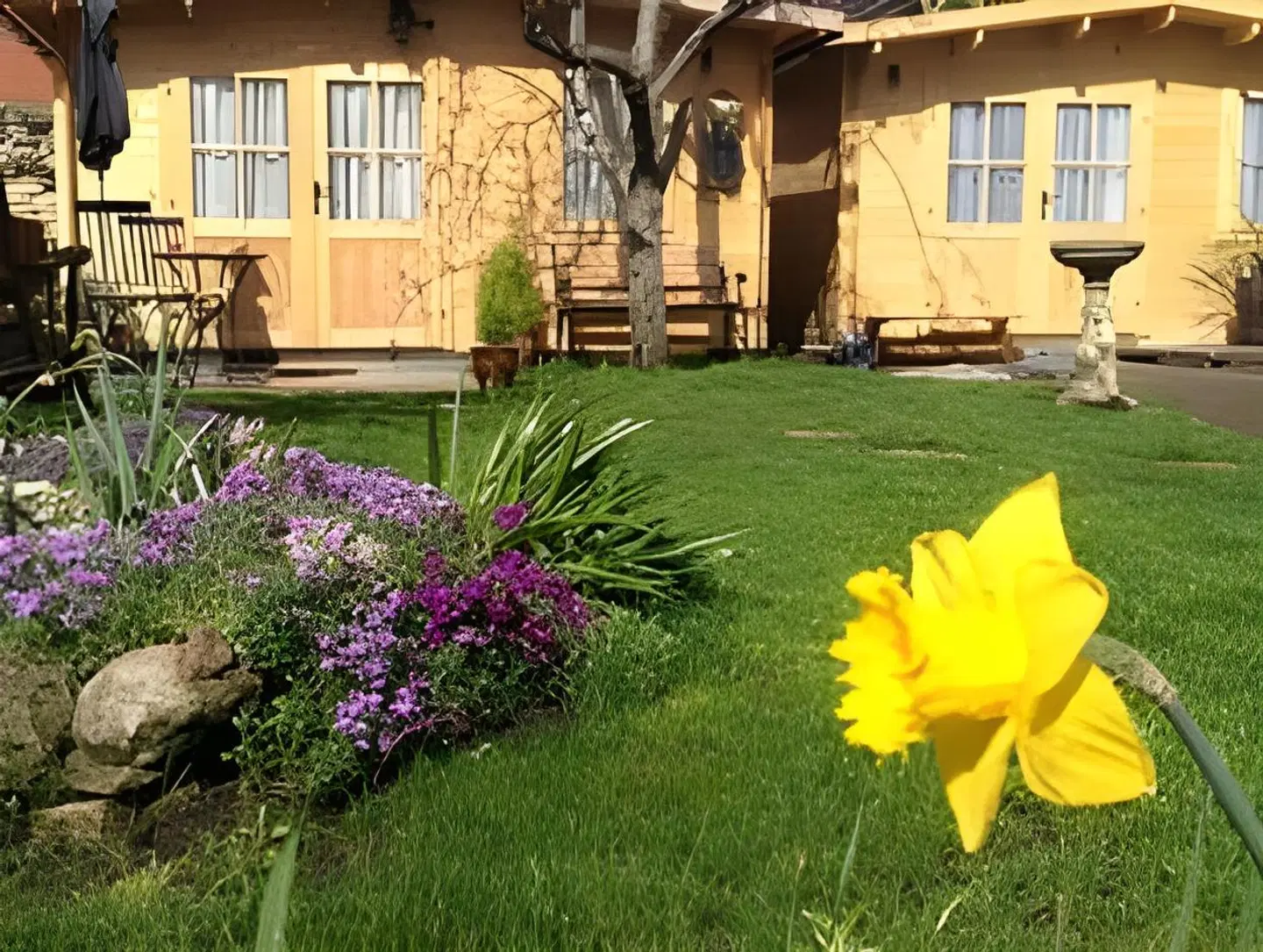 Alice Guest house Garten