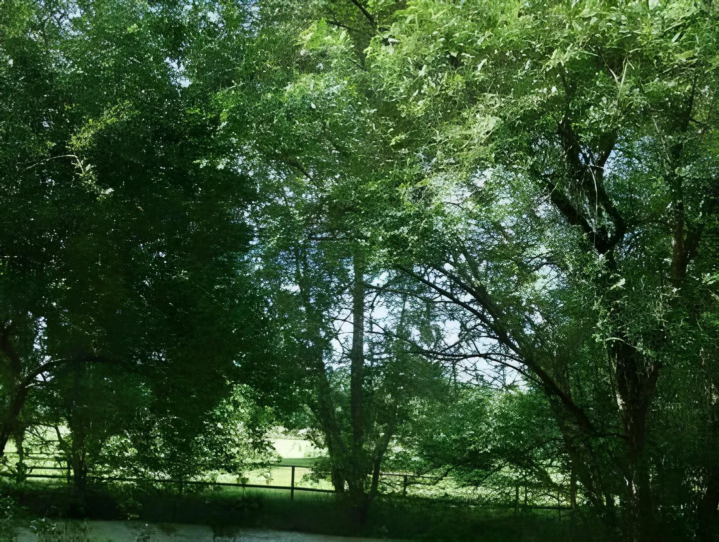 Domaine de L'Arbrelle LANDSCAPE