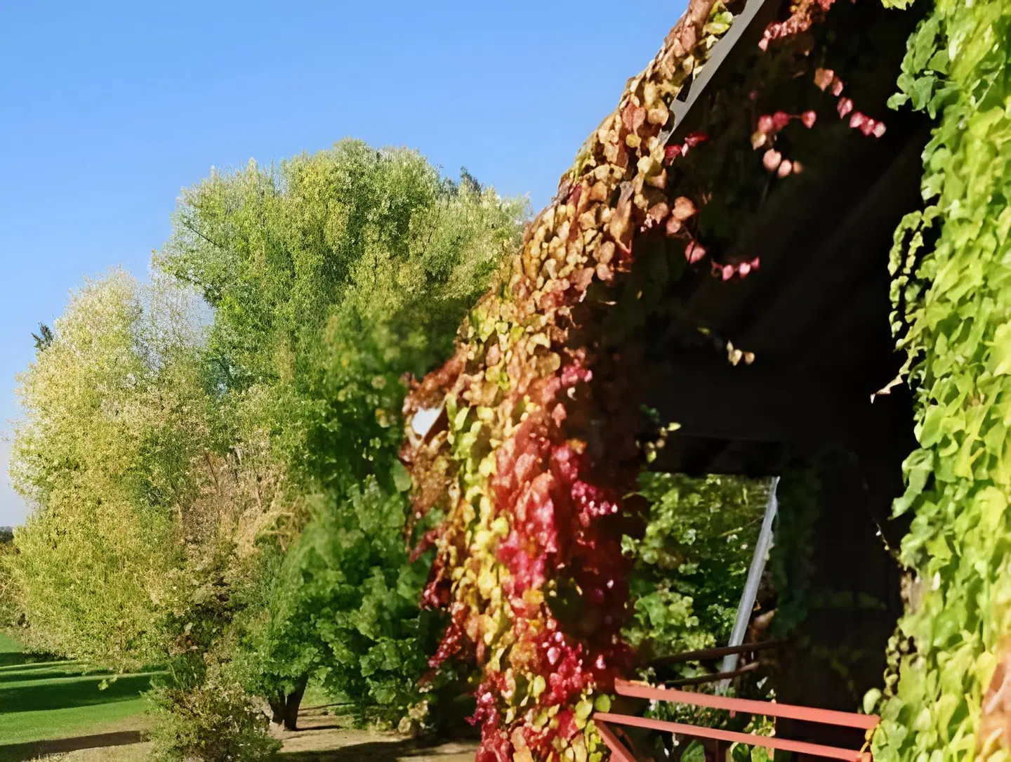 Domaine de L'Arbrelle EXTERIOR
