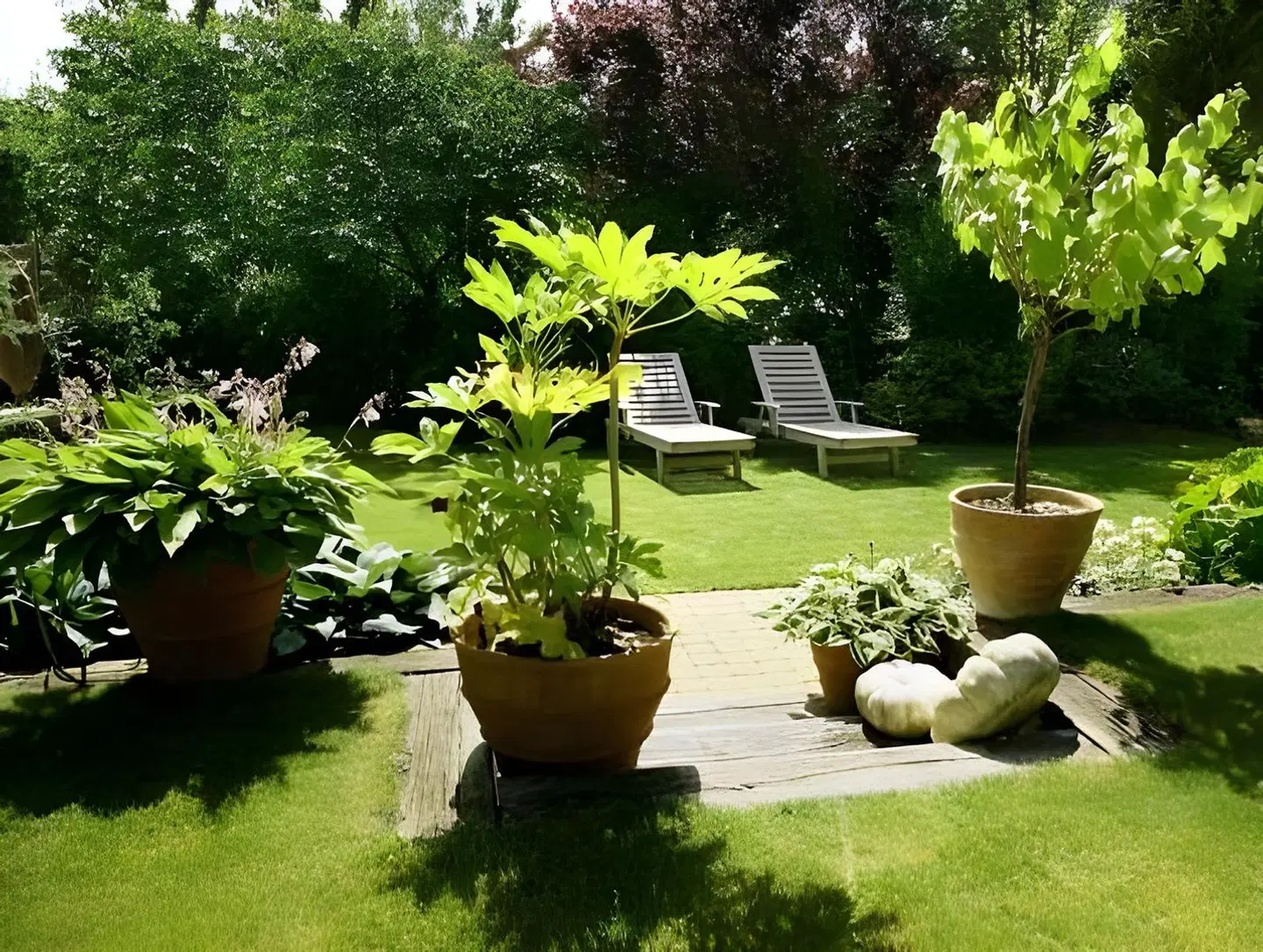 Iris Garten