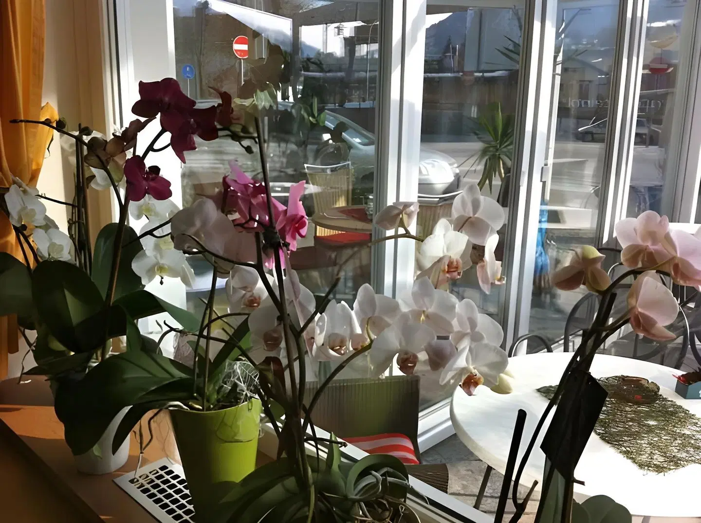 Steindl's Boutique Hotel Restaurant