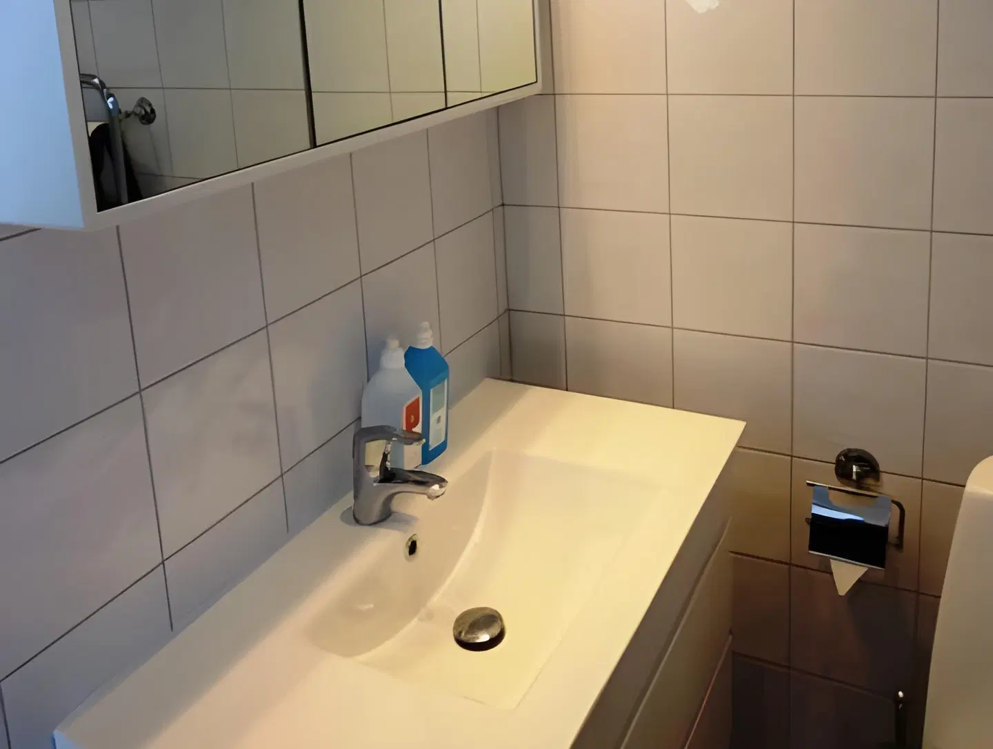 Gamla Järnhandeln Badezimmer