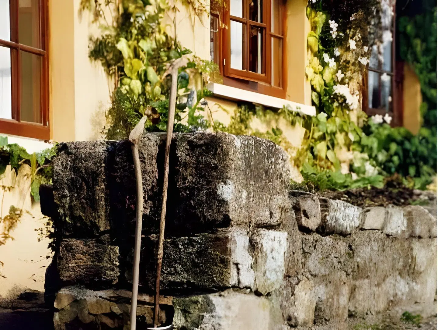 Hanora's Cottage Guesthouse and Restaurant EXTERIOR