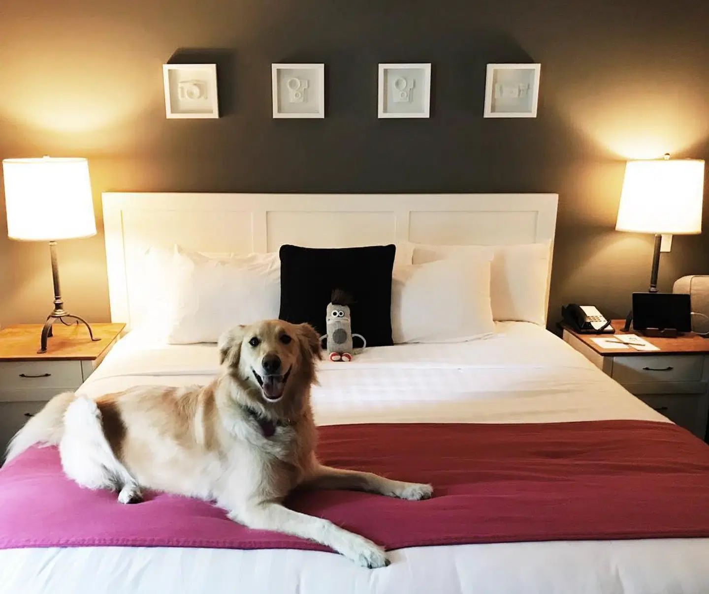 Summit Lodge & Spa ROOM_EXAMPLE
