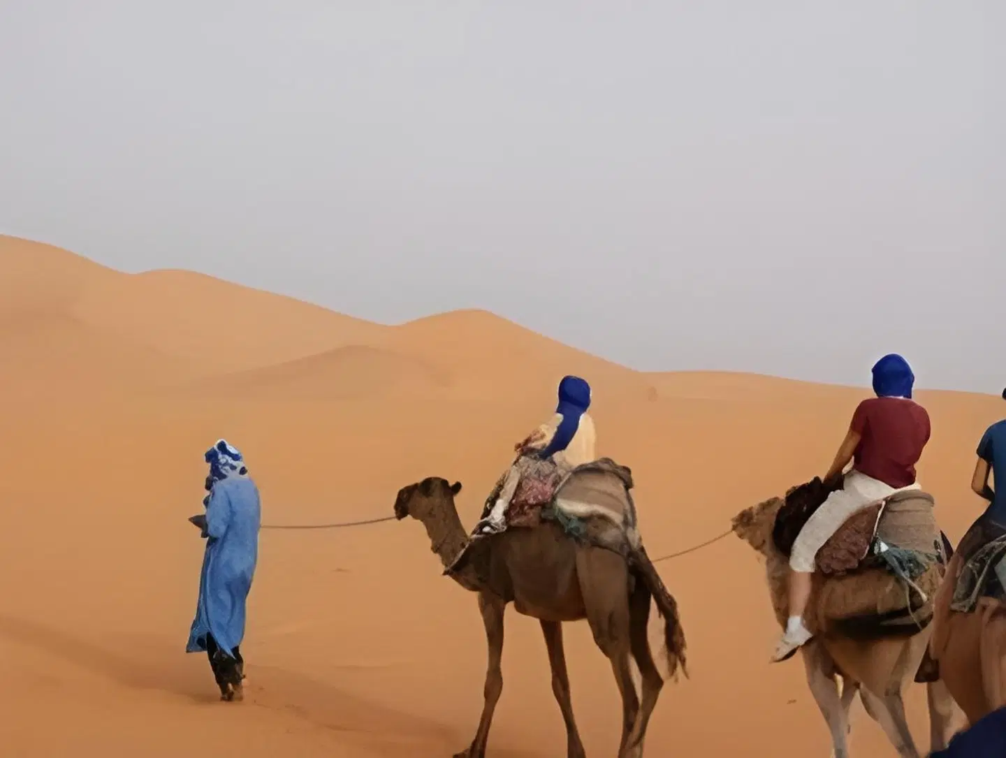 Kasbah Mohayut Tiere