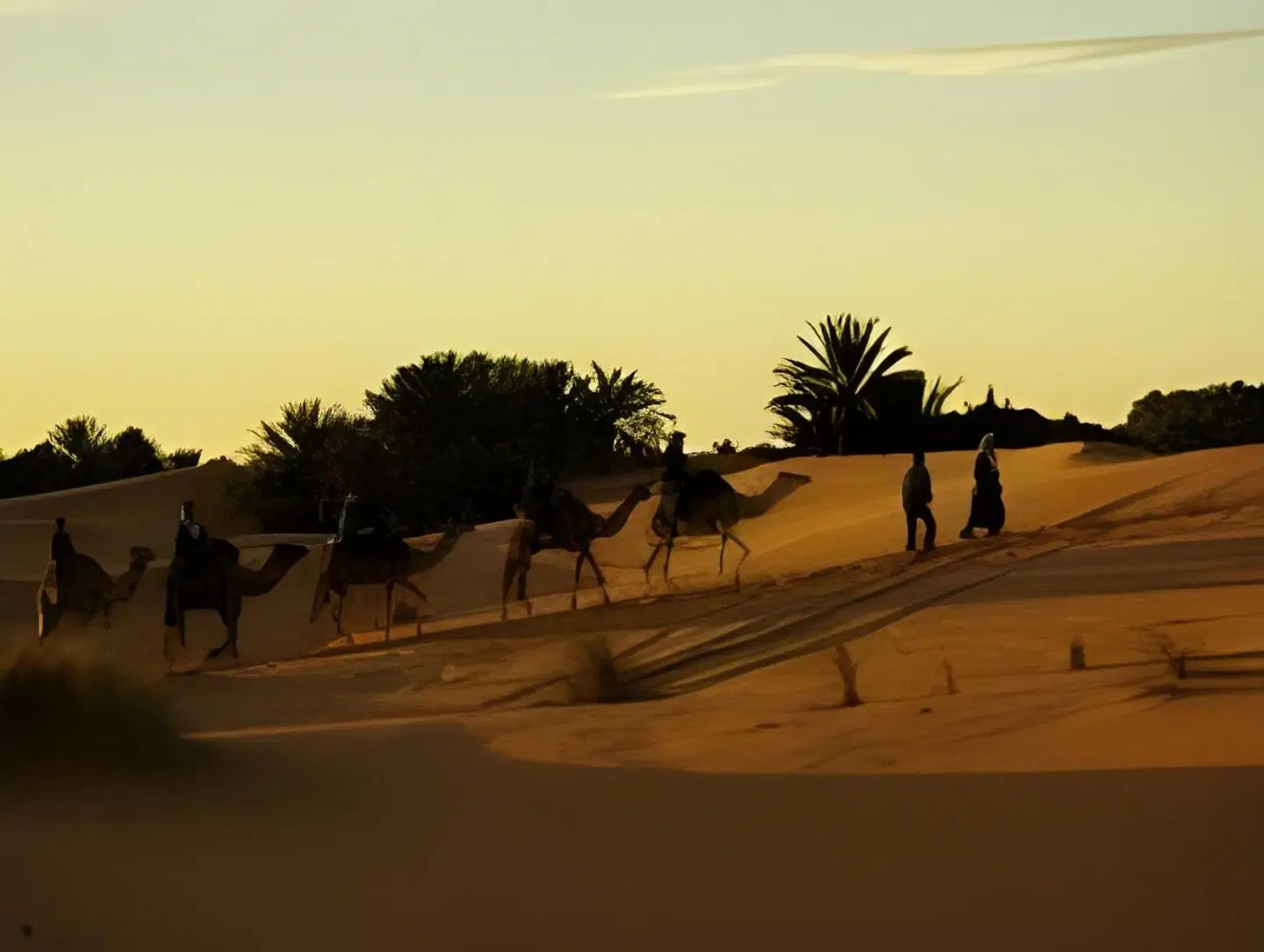 Kasbah Mohayut Tiere