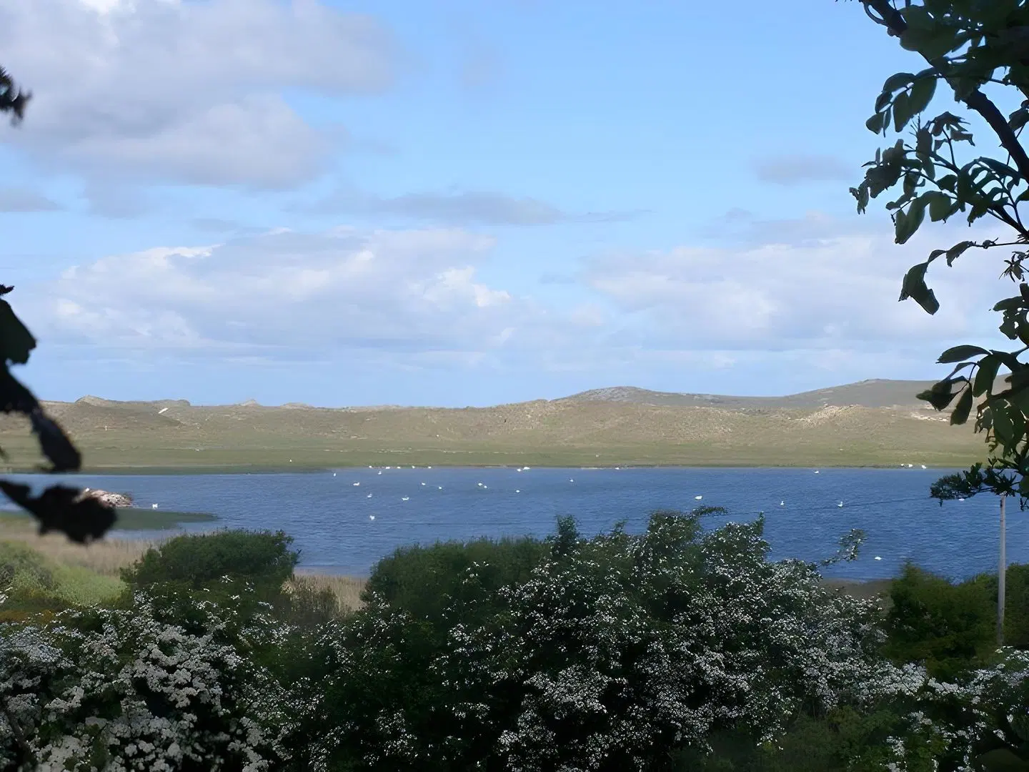 Corcreggan Mill LANDSCAPE