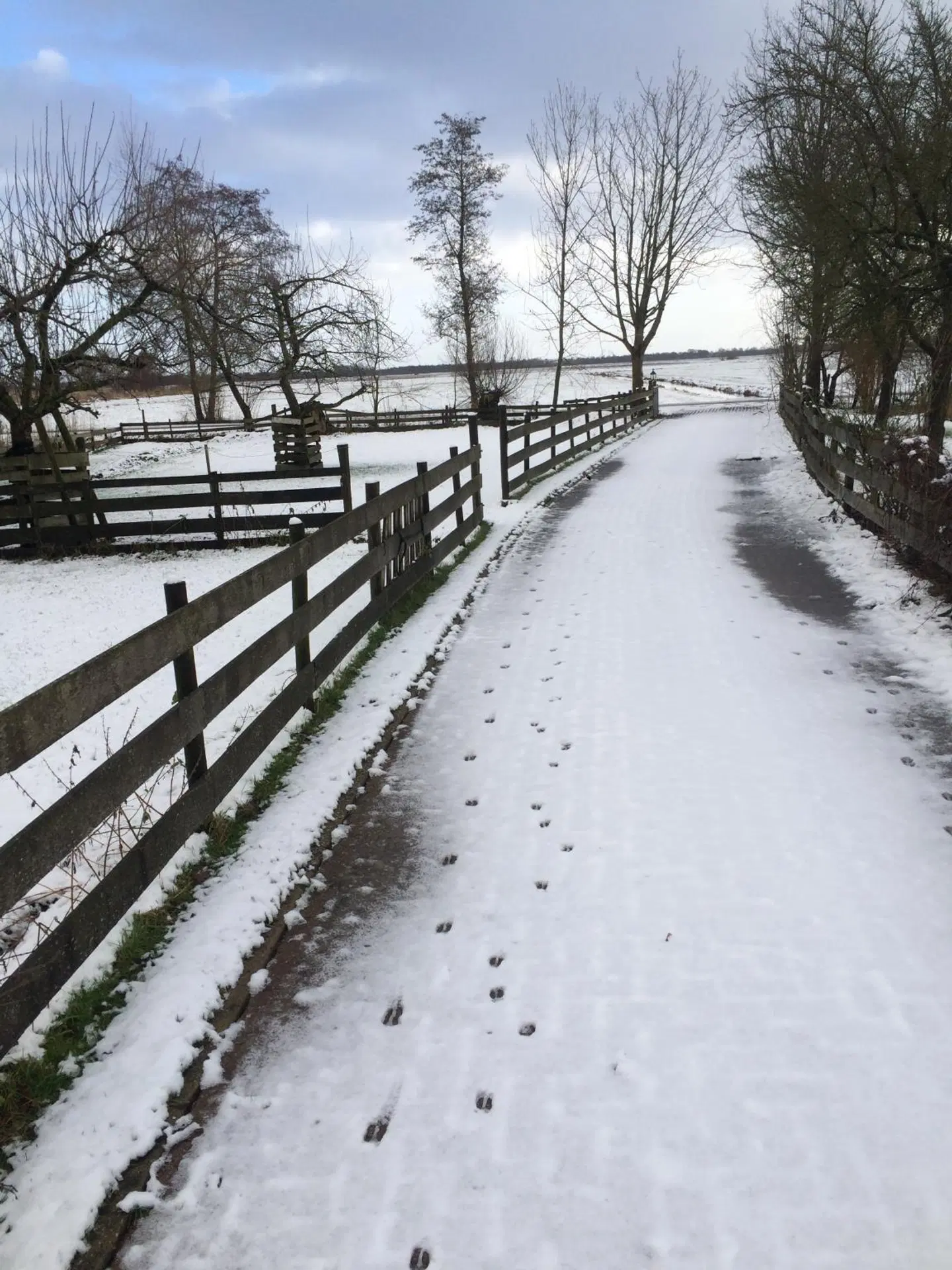 The Black Sheep Hostel LANDSCAPE