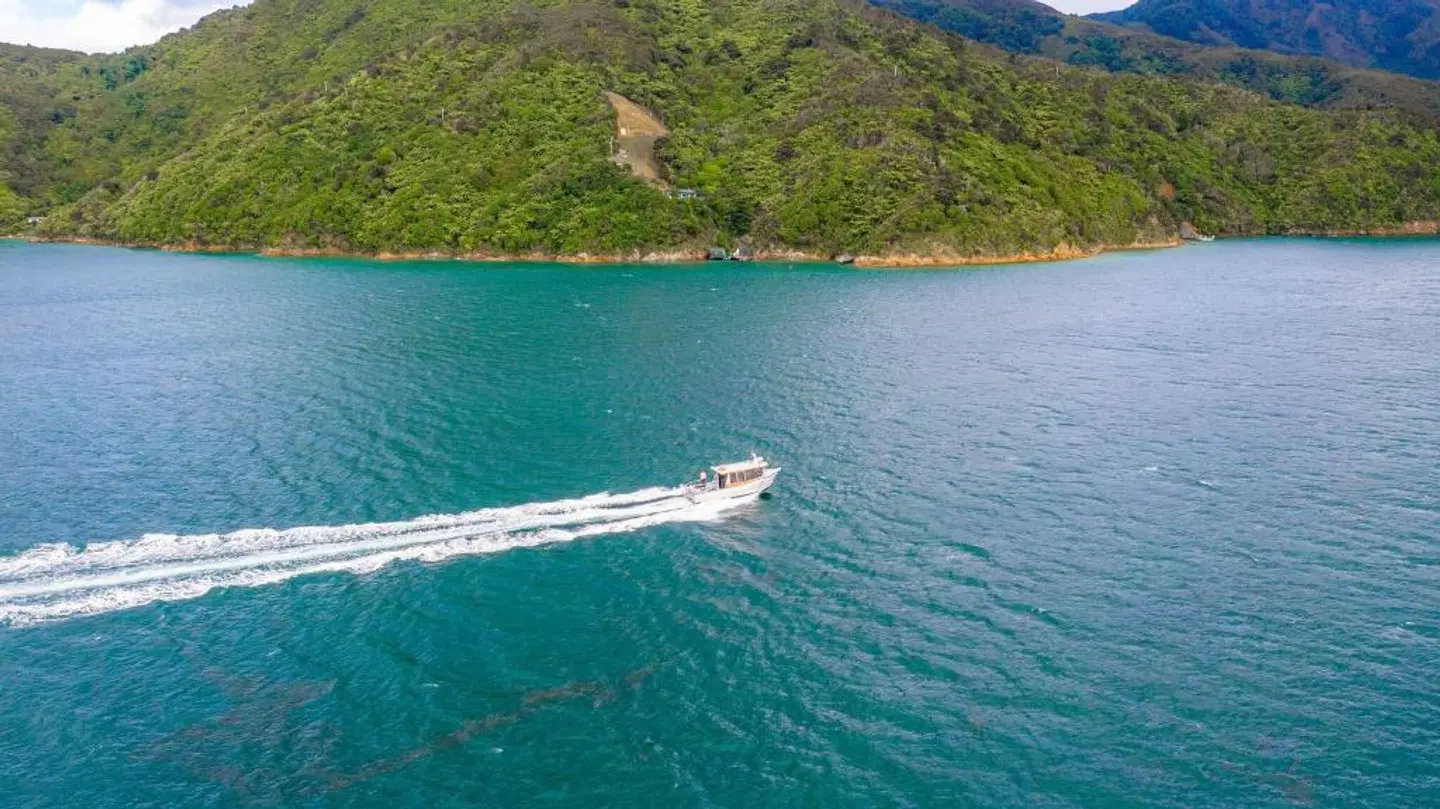 Bay of Many Coves Resort LANDSCAPE