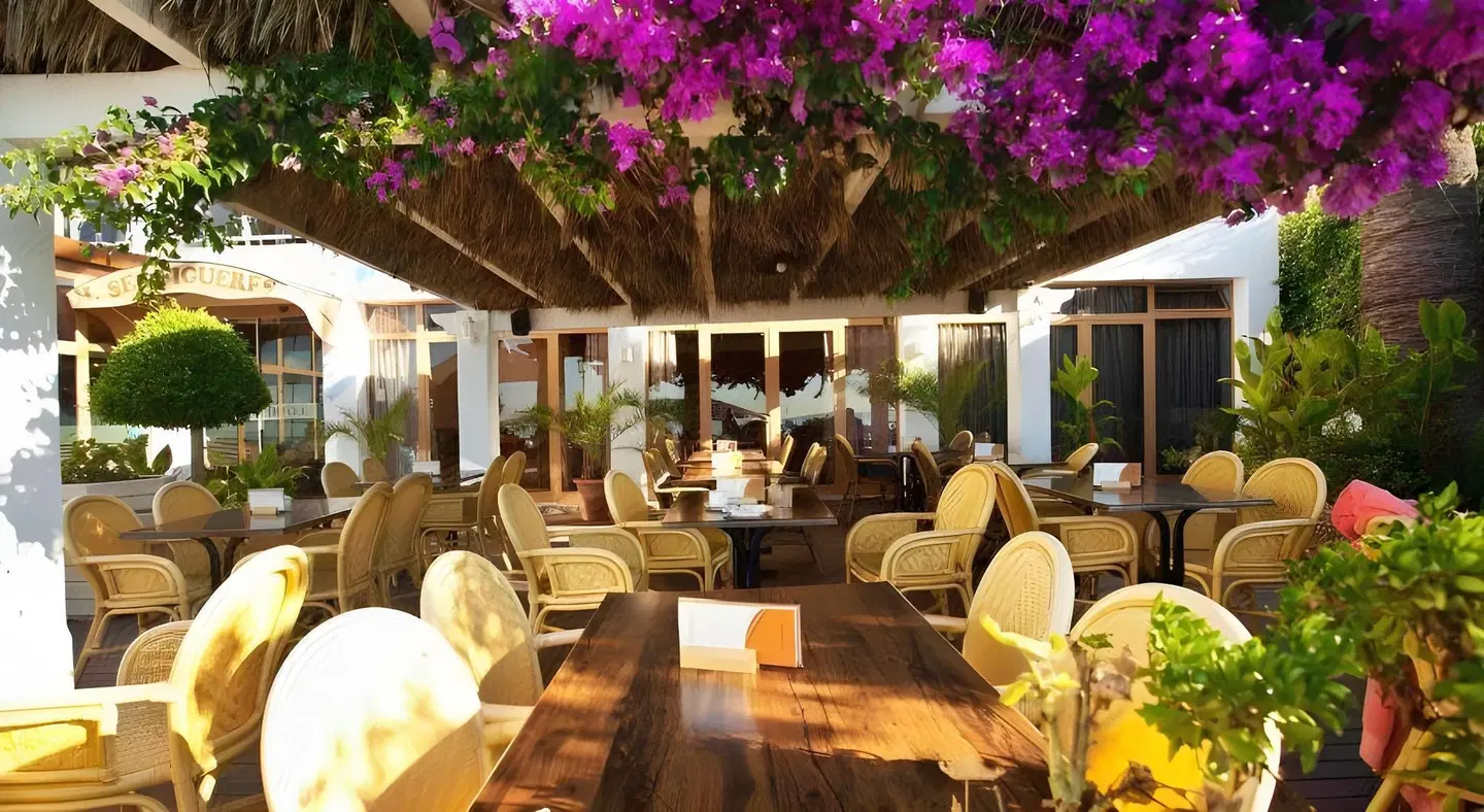 Ses Figueres Terrasse