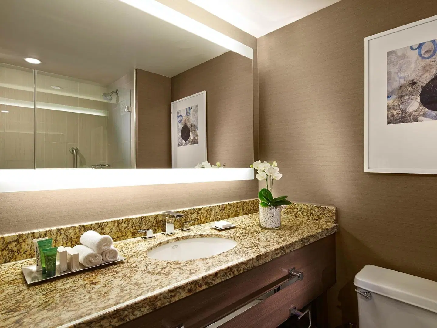 Hilton San Diego Mission Valley Badezimmer