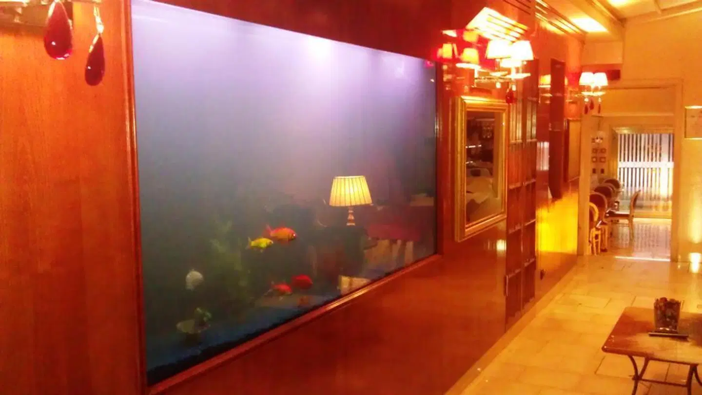 Alcyone Bar