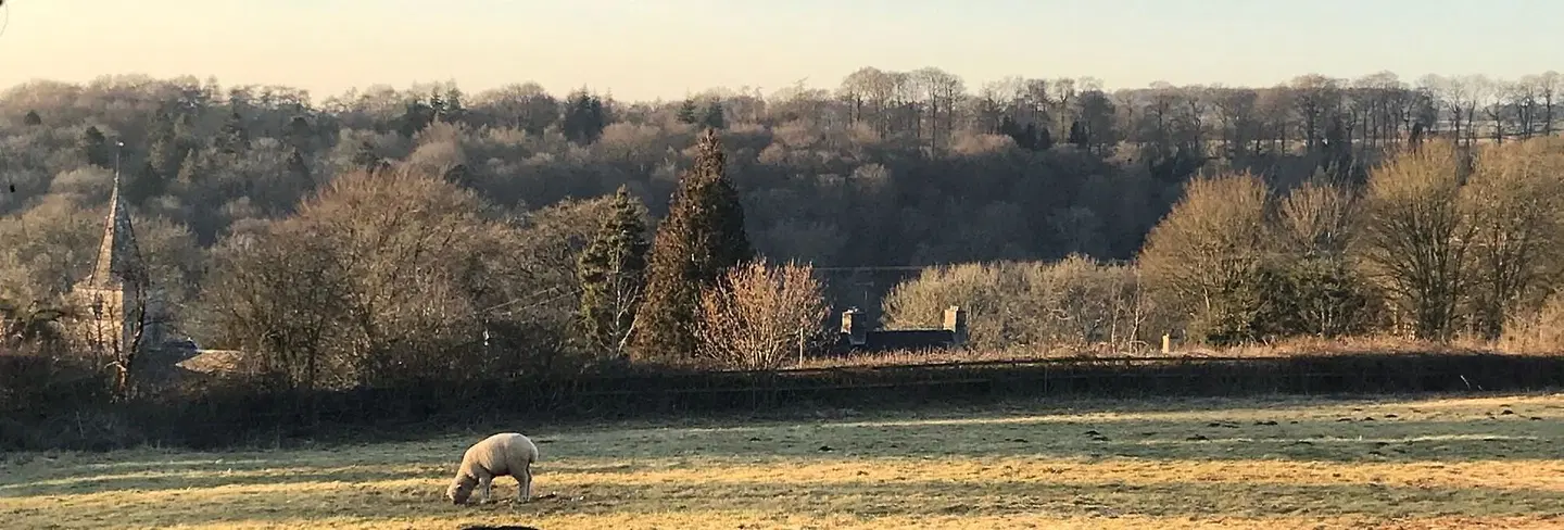 The Bell at Sapperton LANDSCAPE