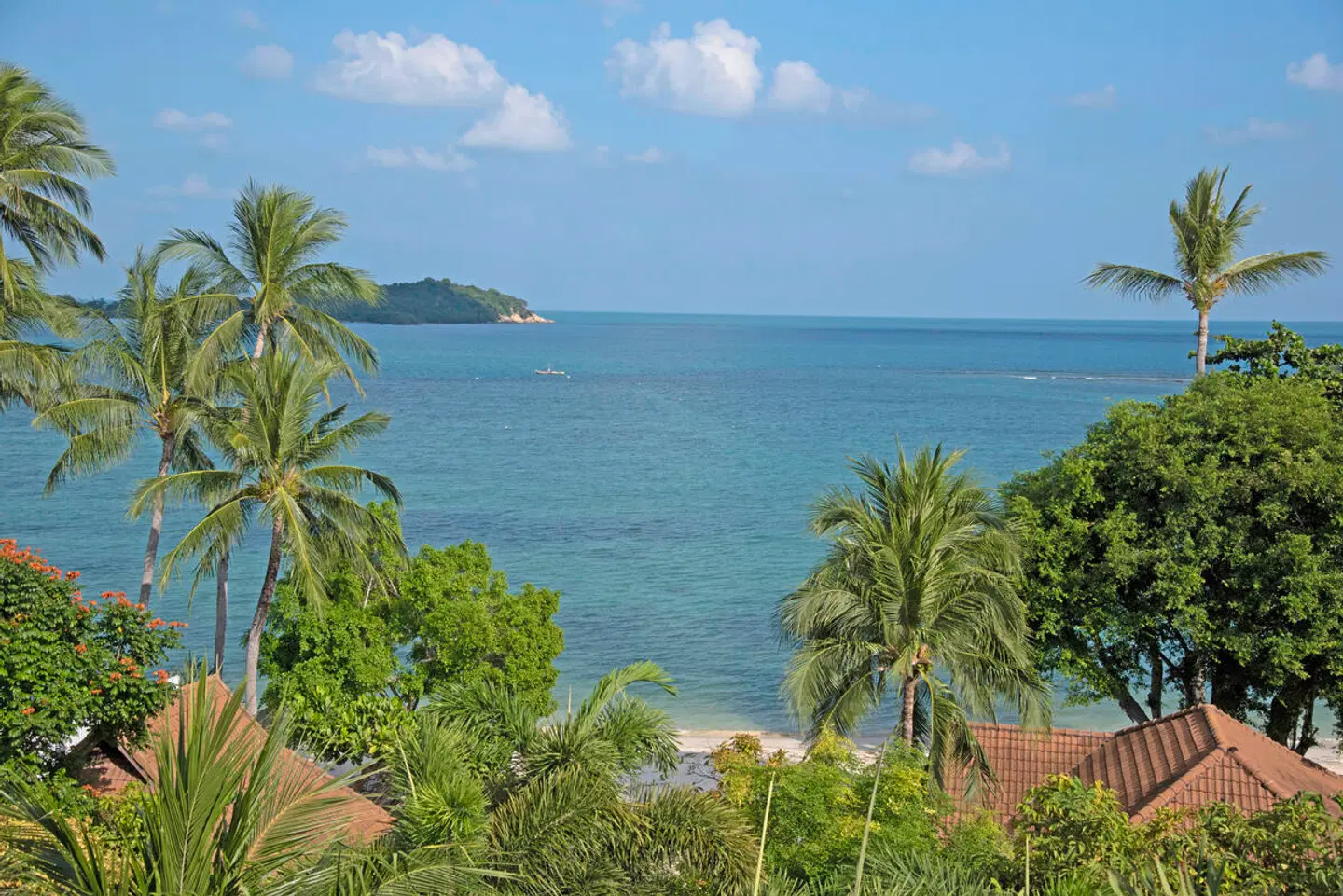 Samui Natien Beach Resort LANDSCAPE