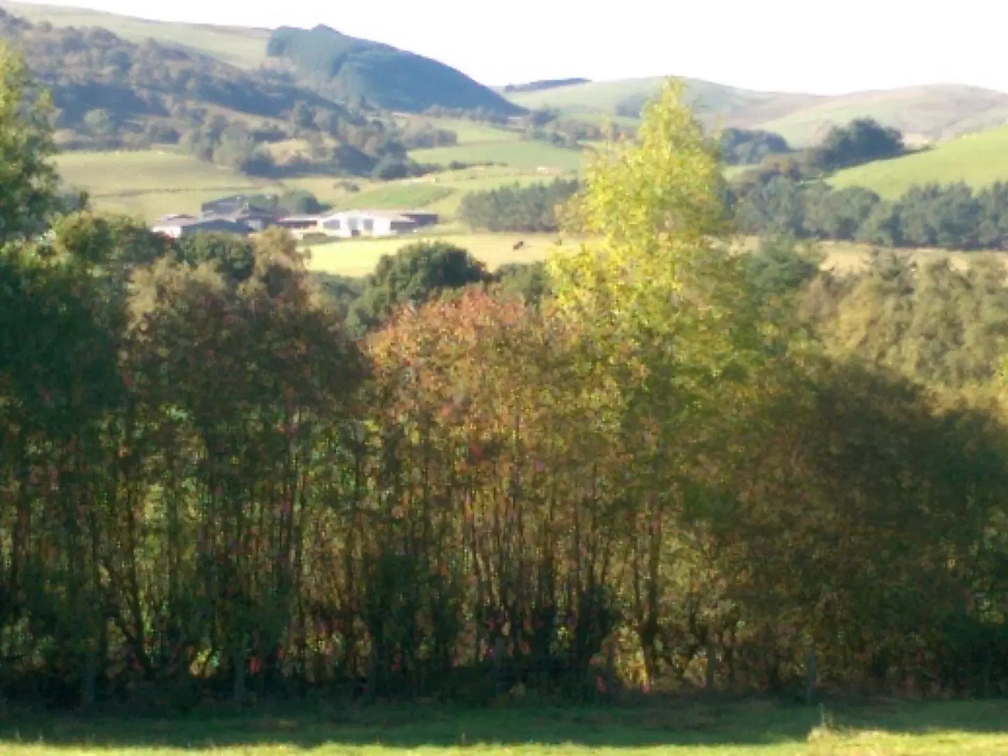 Pant Glas Barn LANDSCAPE