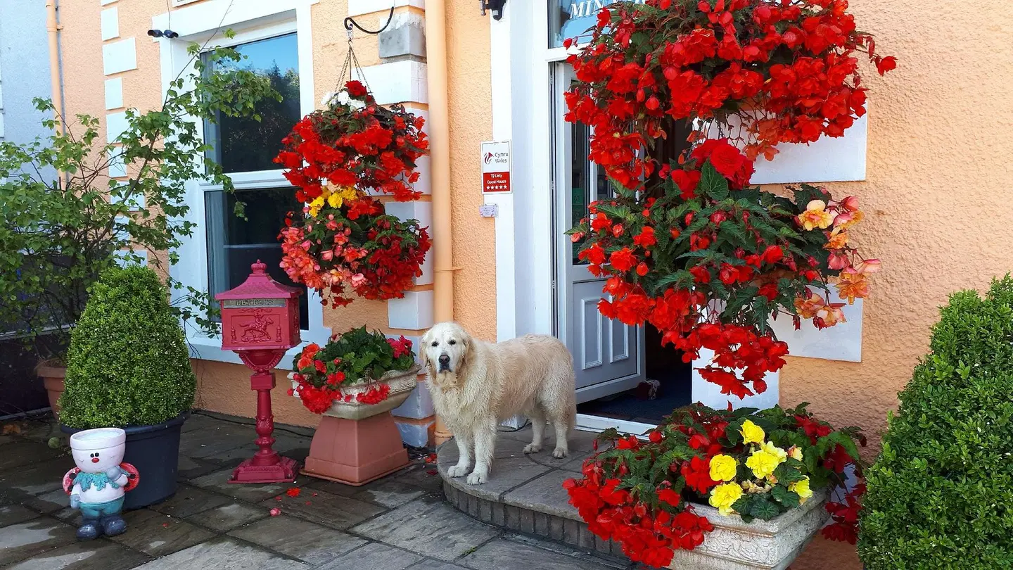 Min y Don Guest House Terrasse