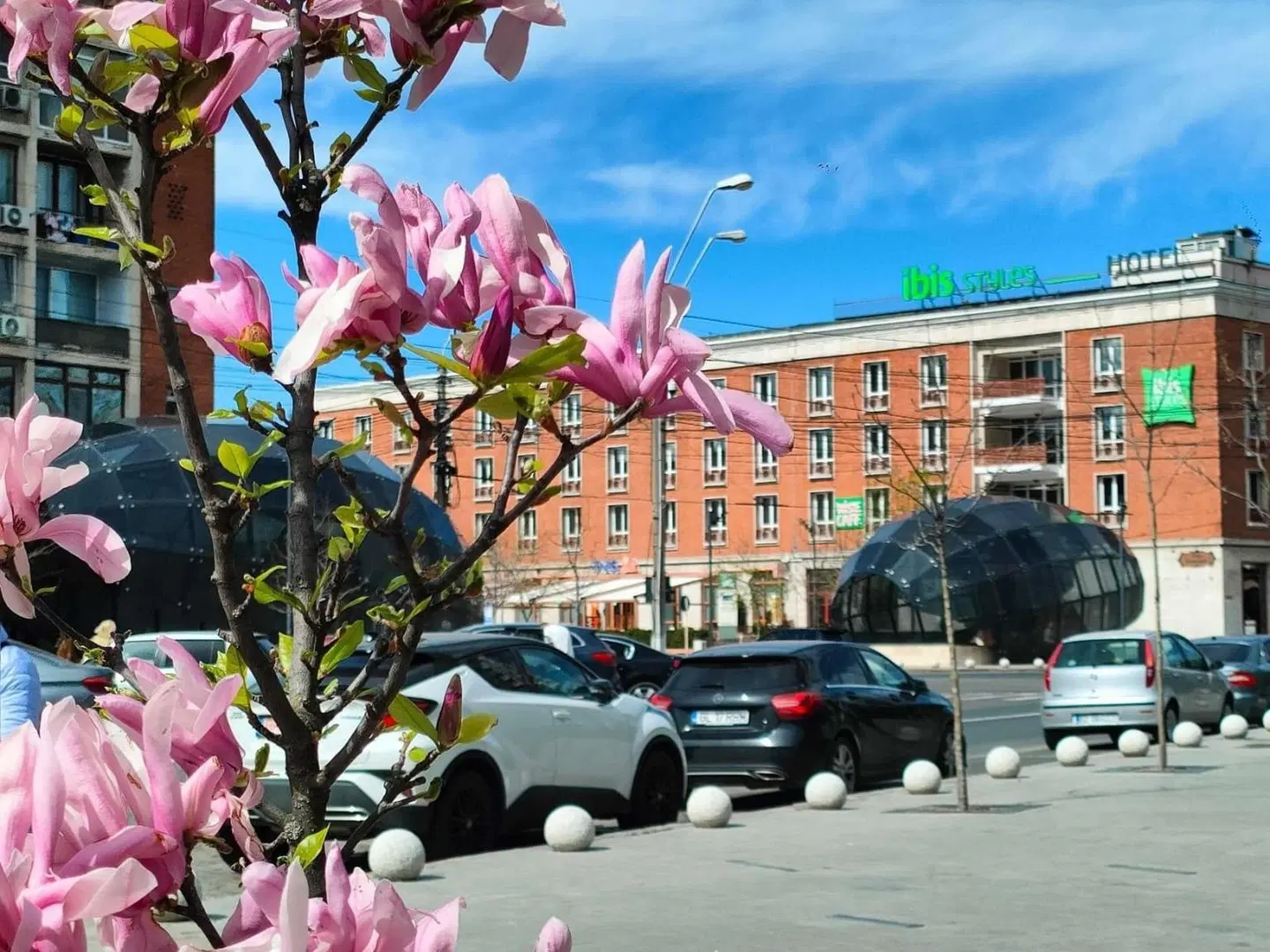 ibis Styles Dunarea Galati Tiere