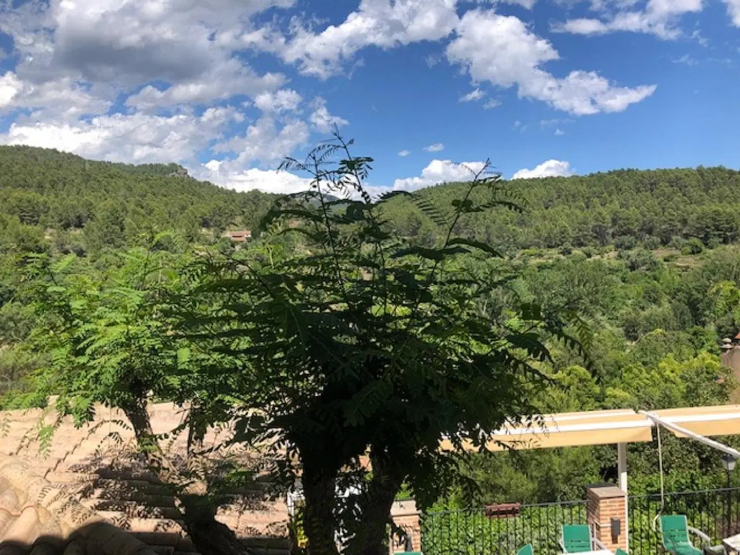Hotel Gil LANDSCAPE