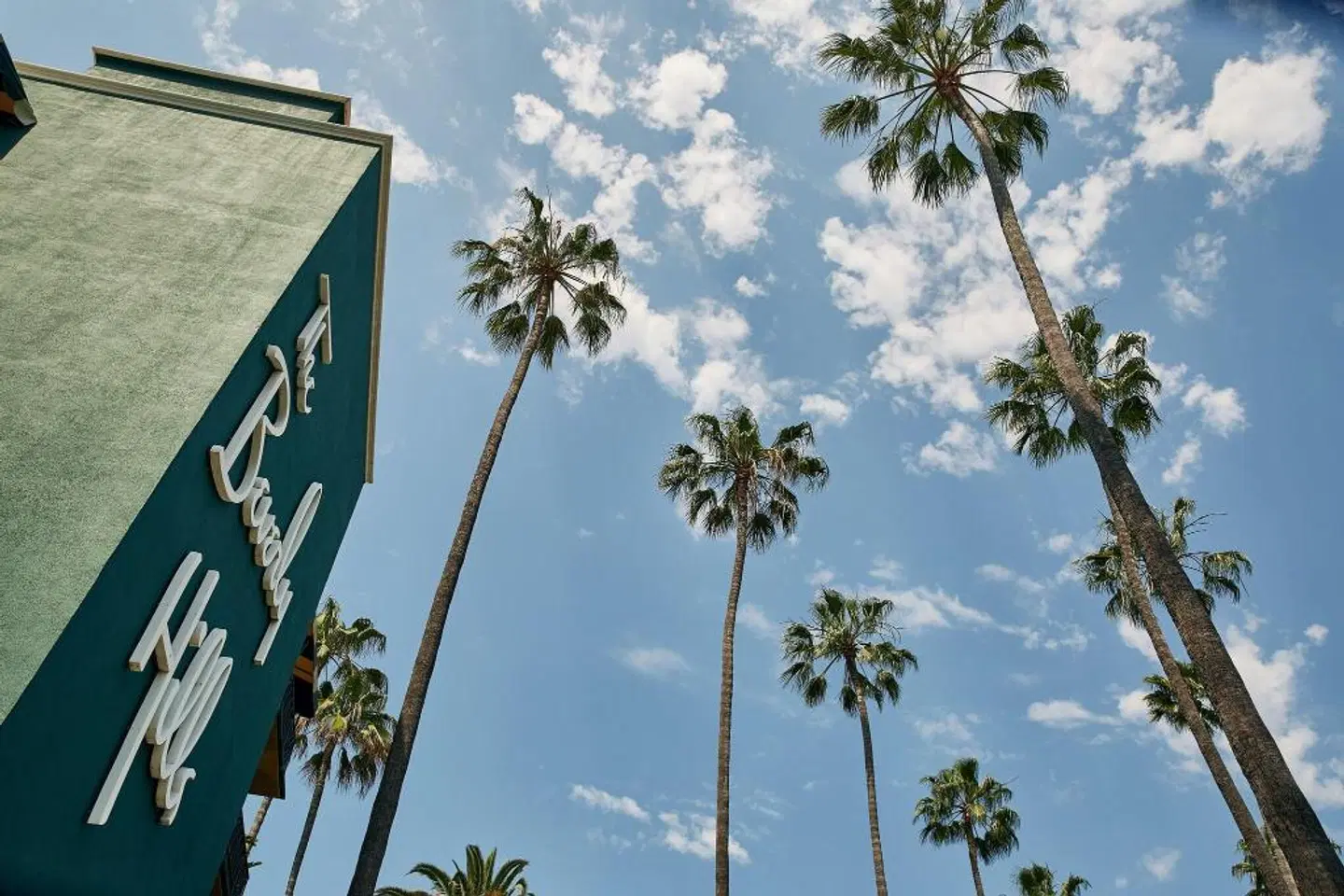 The Beverly Hills Hotel LANDSCAPE