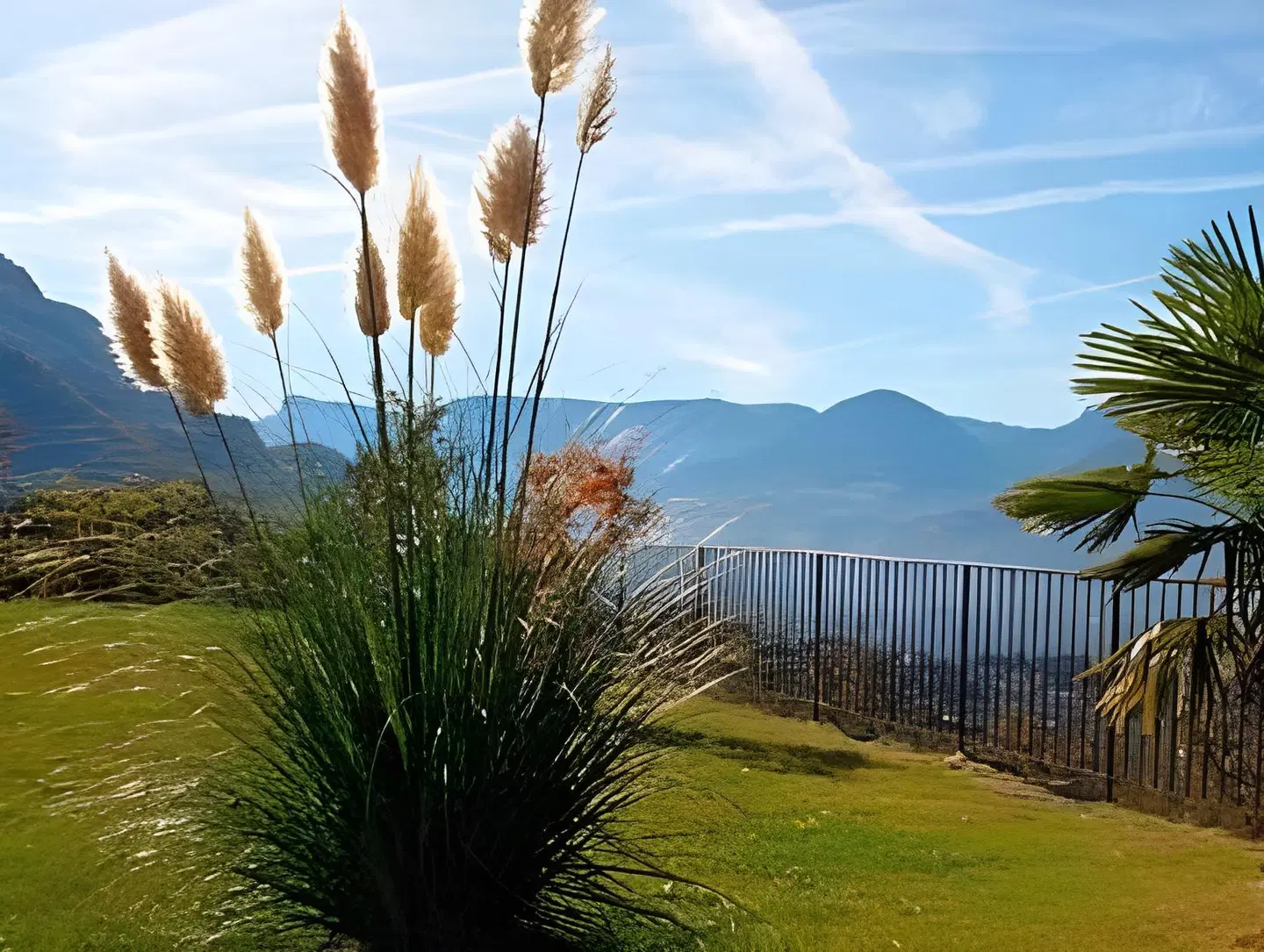 Schmied Hans LANDSCAPE