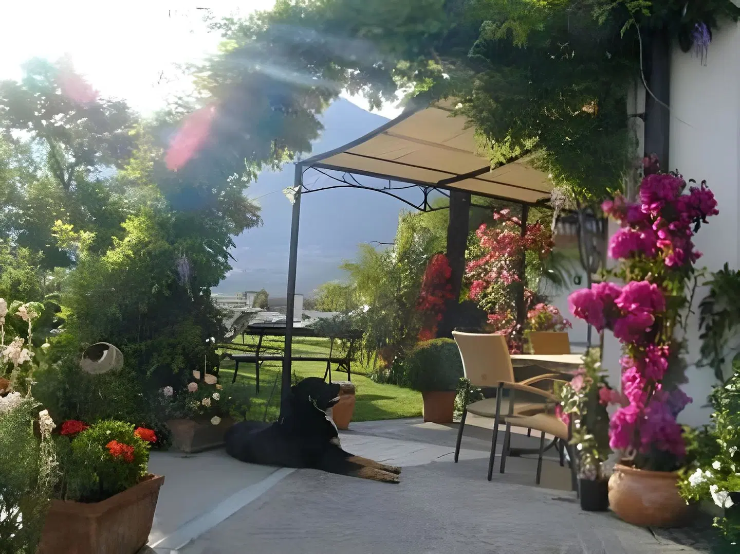 Schmied Hans Terrasse
