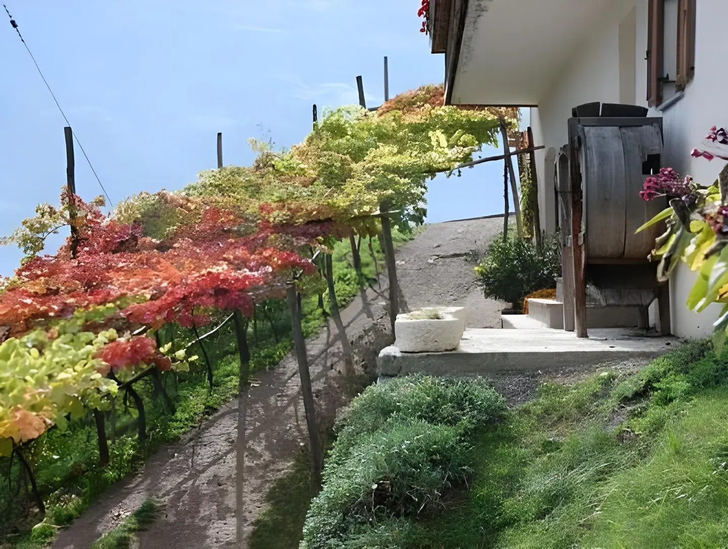 Schmied Hans Garten