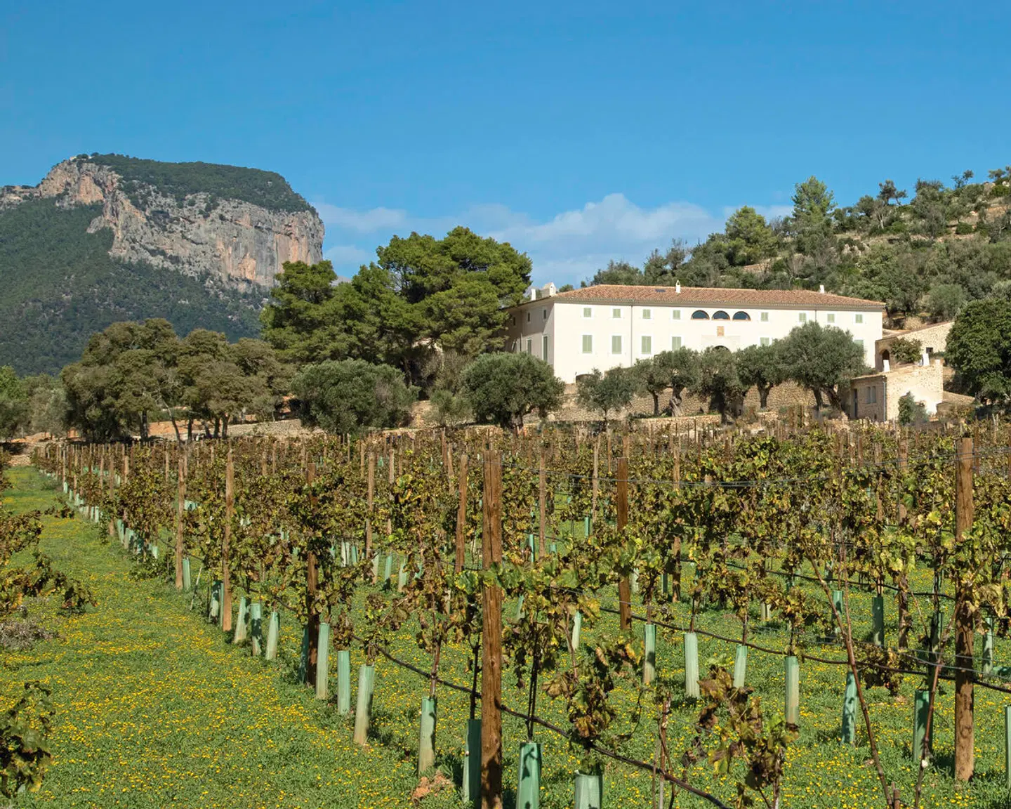 Finca Banyols, Vignette Collection by IHG LANDSCAPE