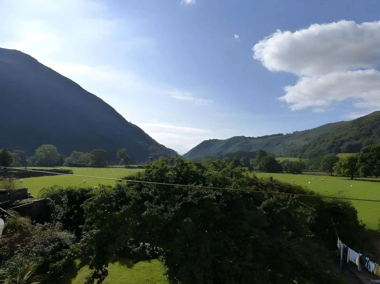 Coach House LANDSCAPE