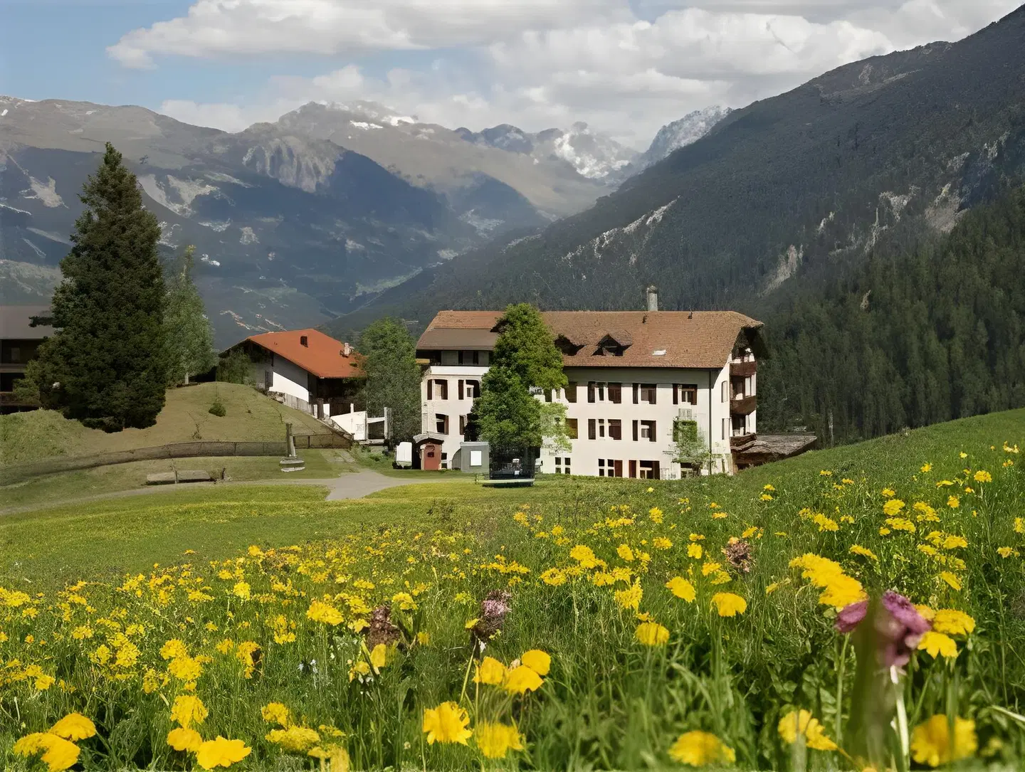The Alpina Mountain Resort & Spa LANDSCAPE