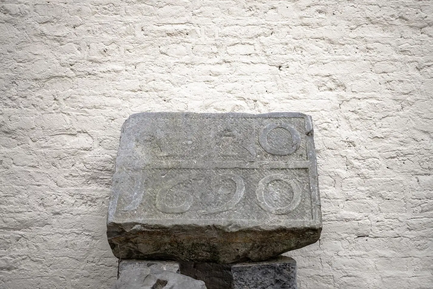 Bigarré MODEL_IMPRESSION