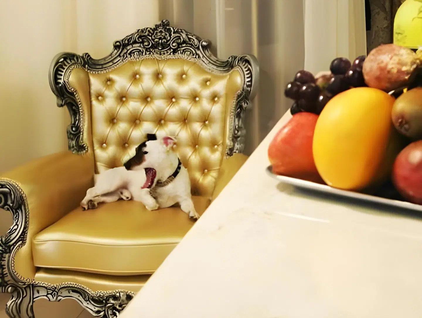 Boutique Mama Tiere