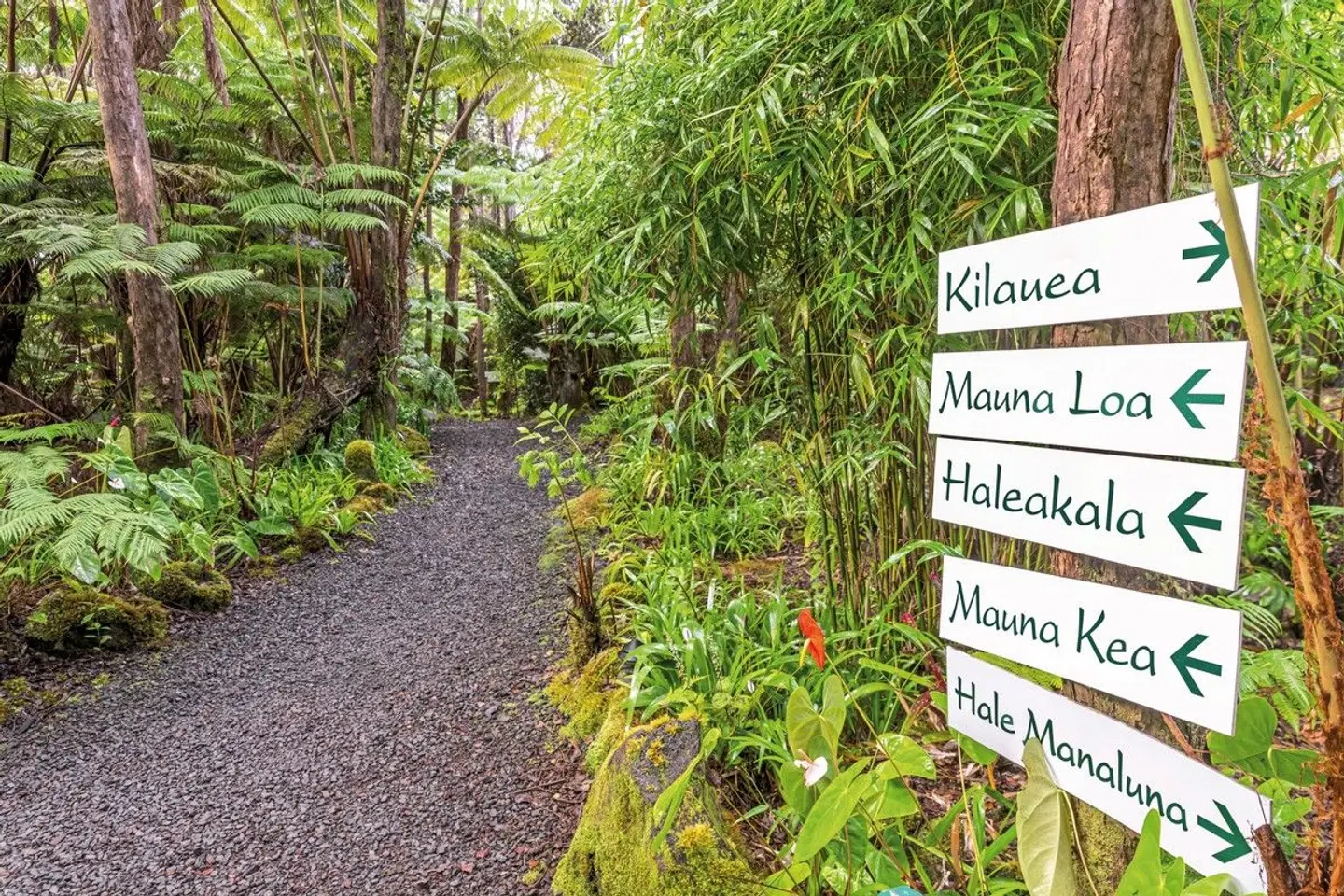 Volcano Village Lodge Garten