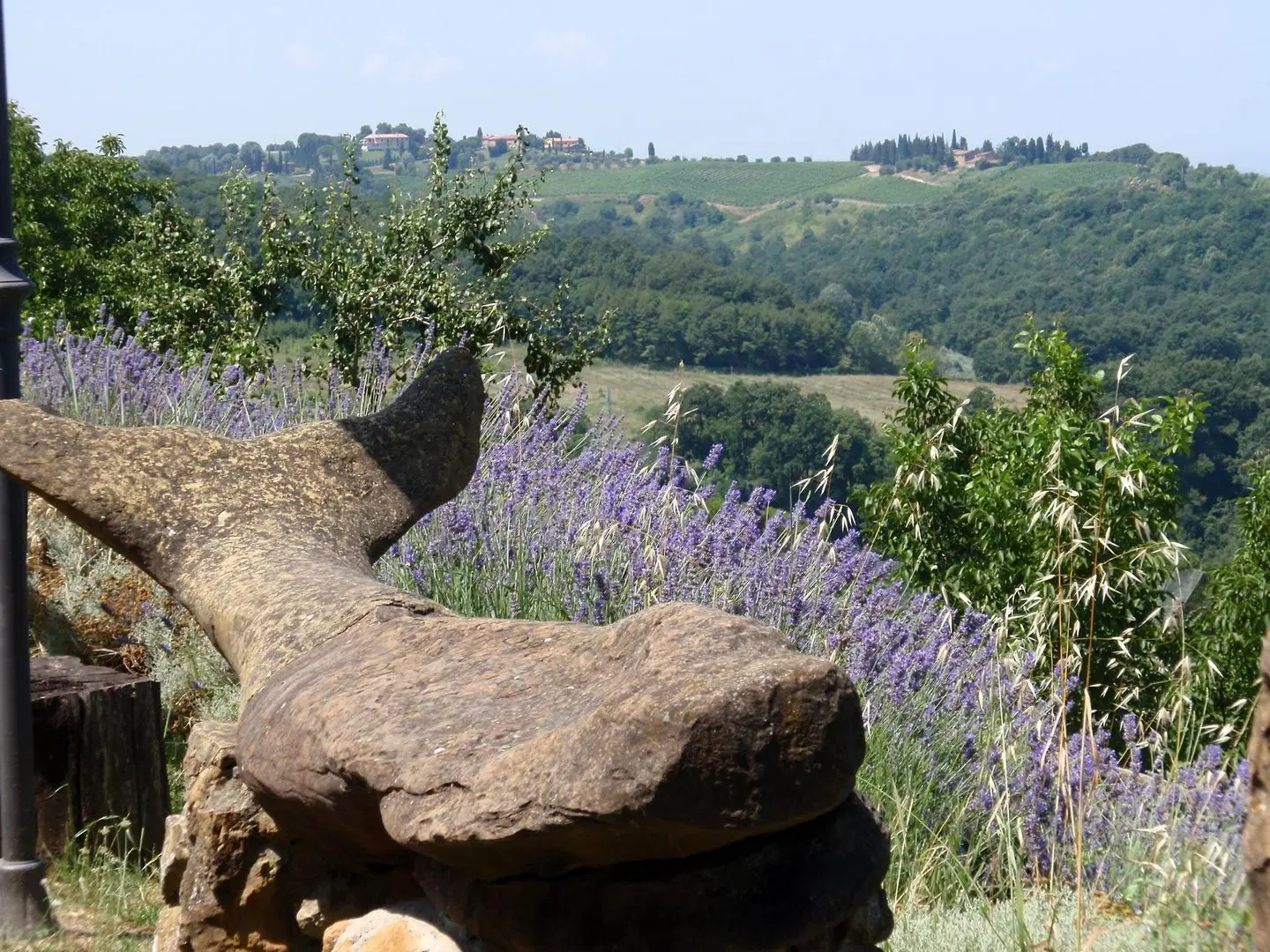 Agriturismo Poggio Pistolese Tiere